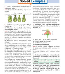 Foundation Course Biology Book for Class 7 by MTG Learning