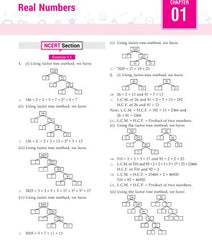 Foundation Course Mathematics Book for Class 10 by MTG Learning