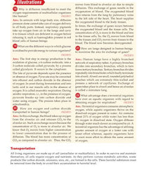 Foundation Course Biology Book for Class 10 by MTG Learning