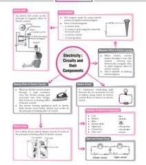 Foundation Course Physics Book for Class 7 by MTG Learning