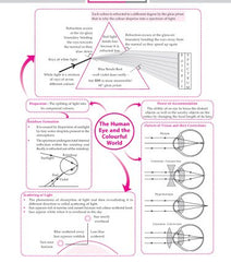 Foundation Course Physics Book for Class 10 by MTG Learning