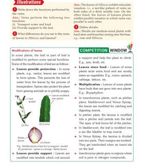 Foundation Course Biology Book for Class 6 by MTG Learning