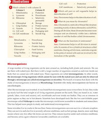 Foundation Course Biology Book for Class 8 by MTG Learning