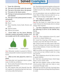 Foundation Course Biology Book for Class 6 by MTG Learning