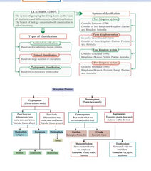 Foundation Course Biology Book for Class 9 by MTG Learning