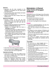 All in One History Class 12 for CBSE Exam - Book By Arihant Publication