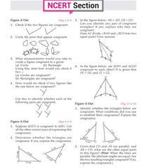 Foundation Course Mathematics Book for Class 7 by MTG Learning