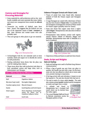 All in One History Class 12 for CBSE Exam - Book By Arihant Publication