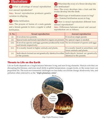 Foundation Course Biology Book for Class 8 by MTG Learning