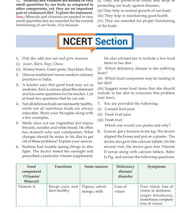 Foundation Course Biology Book for Class 6 by MTG Learning