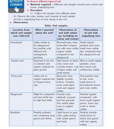 Foundation Course Biology Book for Class 6 by MTG Learning