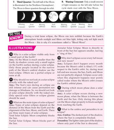 Foundation Course Physics Book for Class 7 by MTG Learning