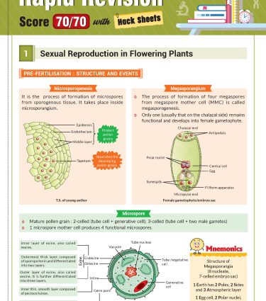 Class 12 CBSE Biology Book (CBSE Champion) - Chapterwise Topicwise Solved Papers By MTG Learning