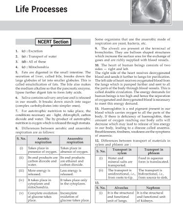 Foundation Course Biology Book for Class 10 by MTG Learning