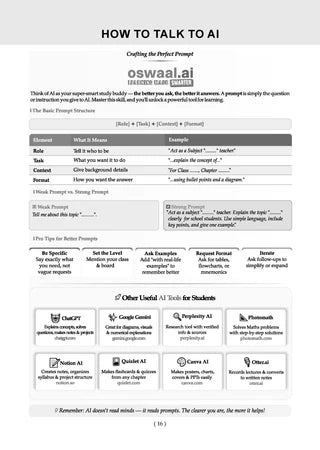 NTA CUET (UG) Previous Years Solved Papers & Mock Test Papers - Science Stream (PCB) - Set of 2 Books By Oswaal Books