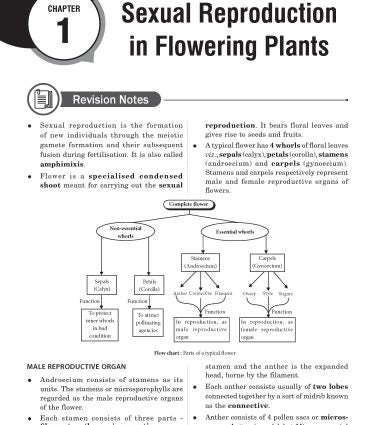 NTA CUET (UG) Chapter wise Question Bank Biology By MTG Learning