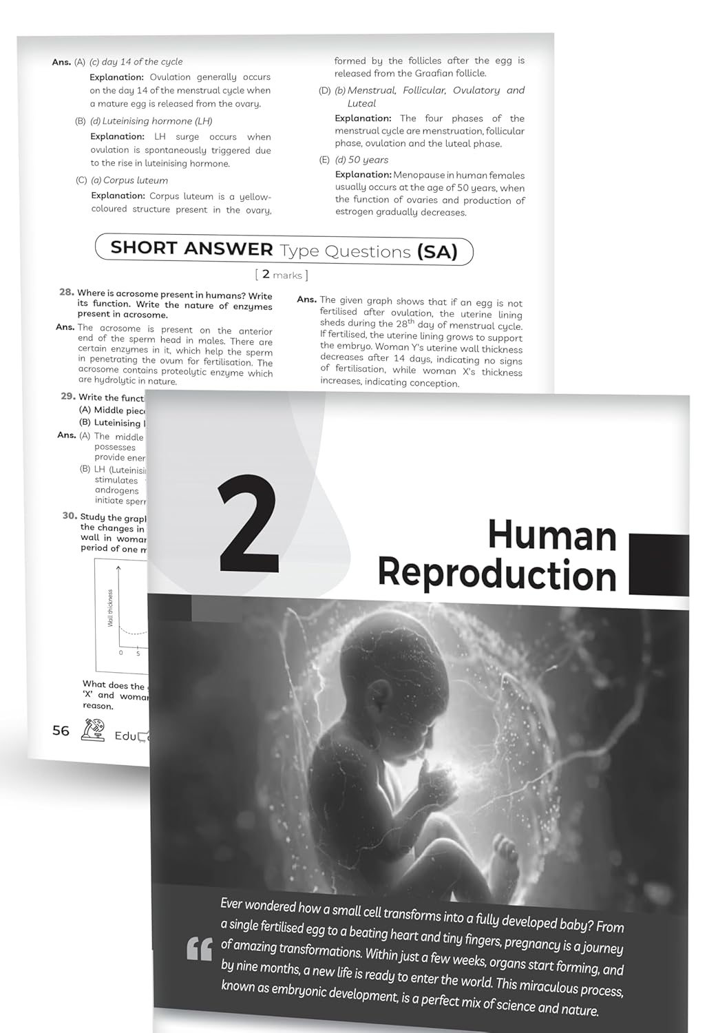 Educart's CBSE Class 12 Biology Question Bank (Chapter-wise PYQs, MCQs, Case-Based Qs, Assertion Reason & Notes) Book