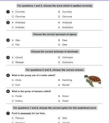 IEO Class-2 Olympiad Previous Years Papers (PYP - Set A and B) English book by MTG Learning