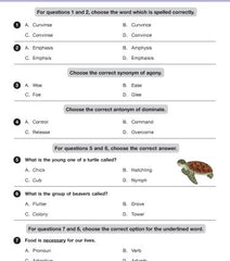 IEO Class-2 Olympiad Previous Years Papers (PYP - Set A and B) English book by MTG Learning