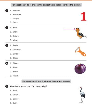 IEO Class-1 Olympiad Previous Years Papers (PYP - Set A and B) English - Book by MTG Learning