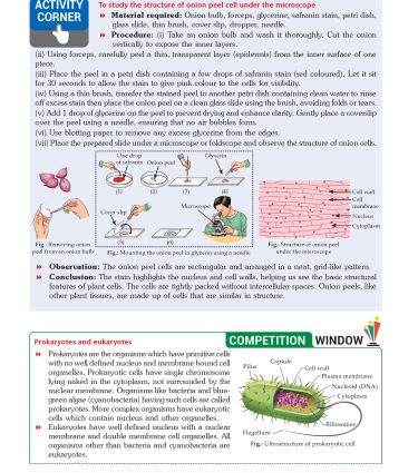 Foundation Course Biology Book for Class 8 by MTG Learning