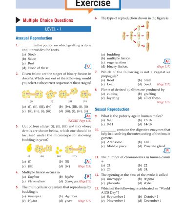 Foundation Course Biology Book for Class 10 by MTG Learning