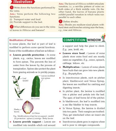 Foundation Course Biology Book for Class 6 by MTG Learning