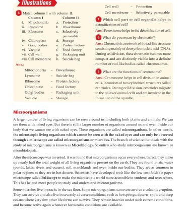 Foundation Course Biology Book for Class 8 by MTG Learning