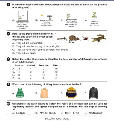 ISO Class-4 Olympiad Previous Years Papers (PYP - Set A and B) Science - Book by MTG Learning