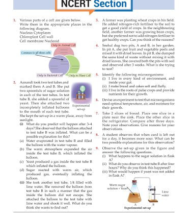 Foundation Course Biology Book for Class 8 by MTG Learning