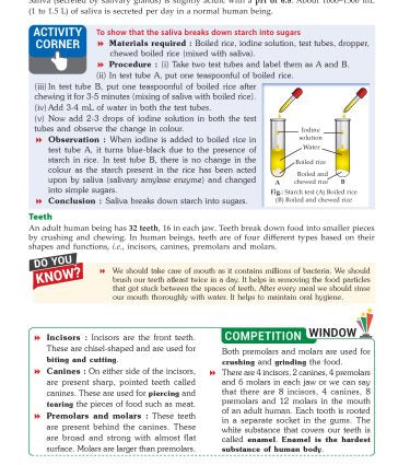 Foundation Course Biology Book for Class 7 by MTG Learning