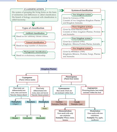 Foundation Course Biology Book for Class 9 by MTG Learning