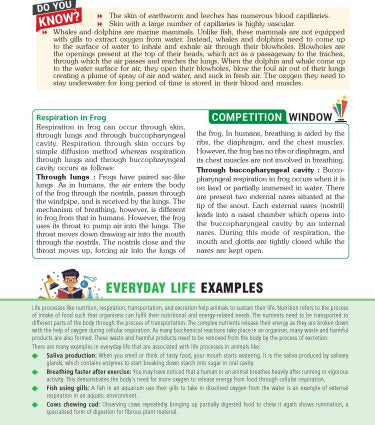 Foundation Course Biology Book for Class 7 by MTG Learning
