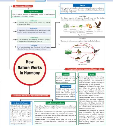 Foundation Course Biology Book for Class 8 by MTG Learning