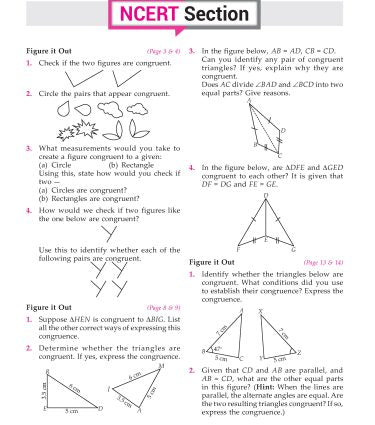 Foundation Course Mathematics Book for Class 7 by MTG Learning