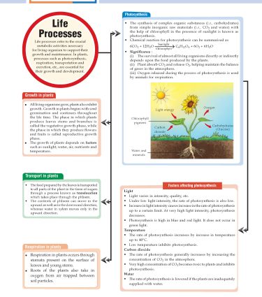 Foundation Course Biology Book for Class 7 by MTG Learning